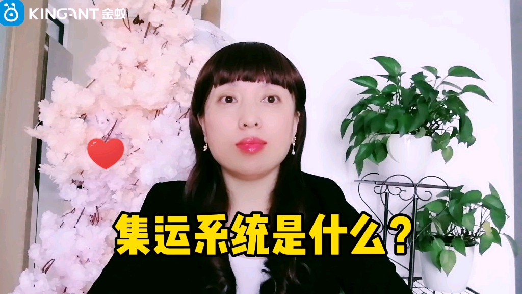 集运系统是什么?集运是什么? 金蚁WMS哔哩哔哩bilibili