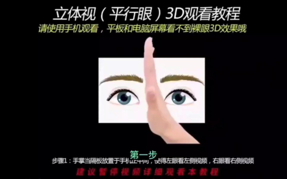 裸眼3D,泰坦尼克号,胆小勿进哔哩哔哩bilibili