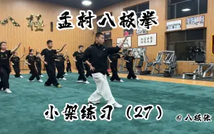 Tải video: 孟村八极拳小架练习（27）