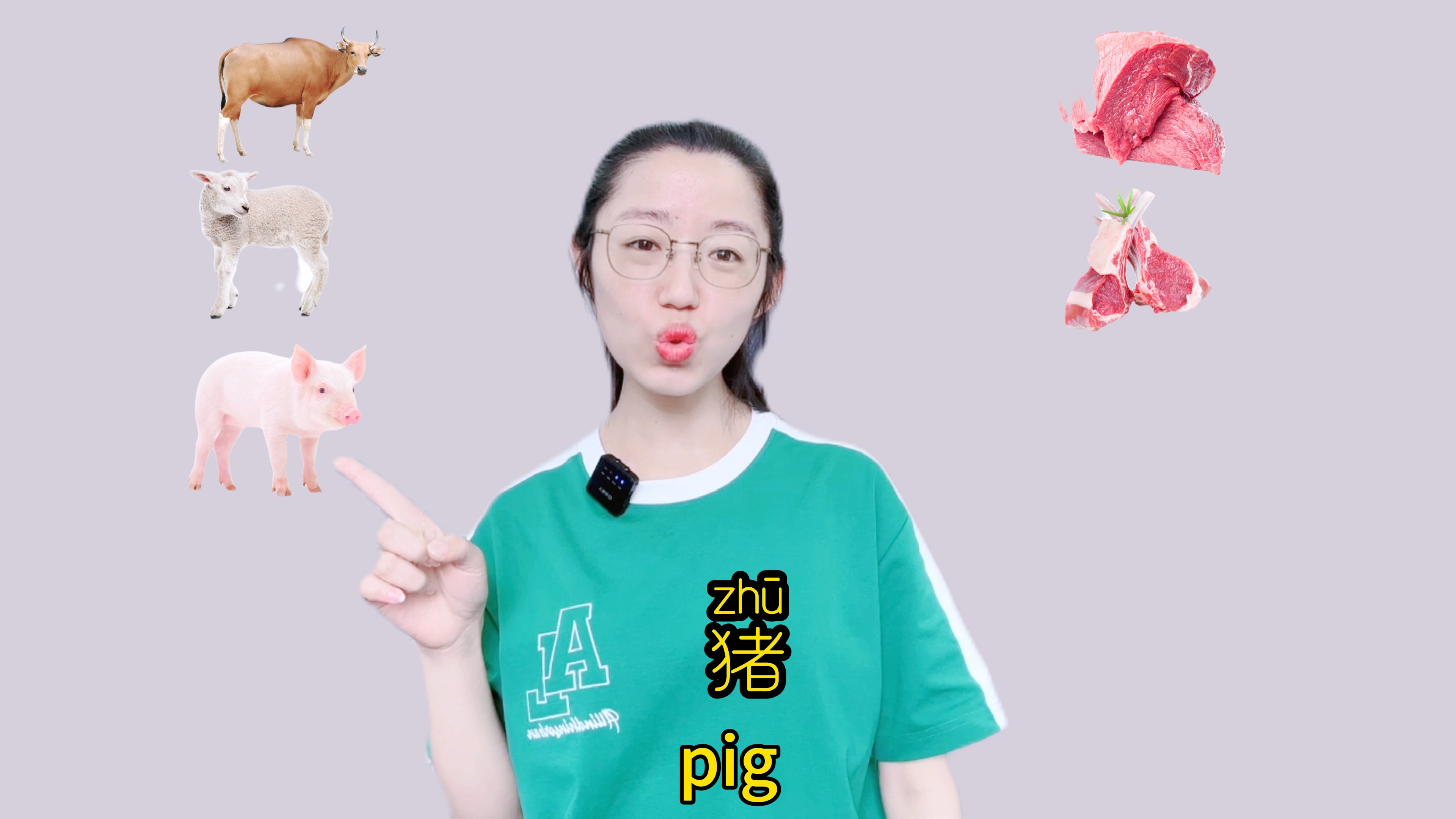 LearnChinese #food#animals#meats#歪果仁#mandarin#Chinese learning#外国人#老外#学习哔哩哔哩bilibili