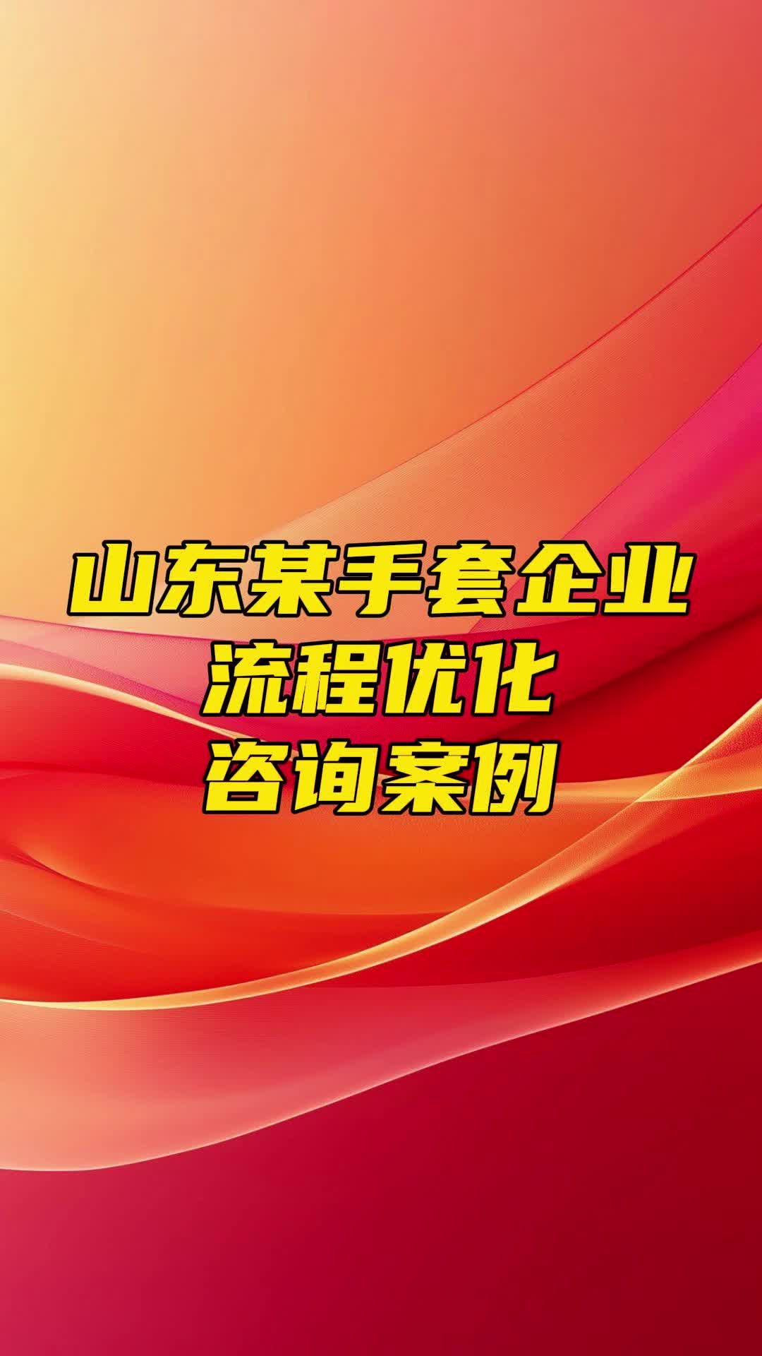 金蓝盟咨询案例山东某手套企业流程优化哔哩哔哩bilibili