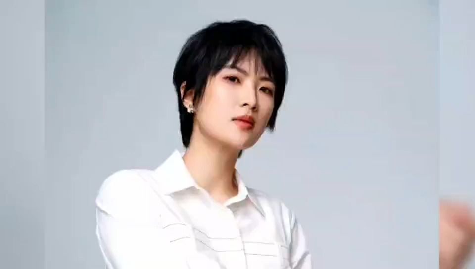 魏大勋,赵丽颖,白敬亭,张艺兴,杨颖,杨幂,霍建华和杨紫,张雪迎,瓜