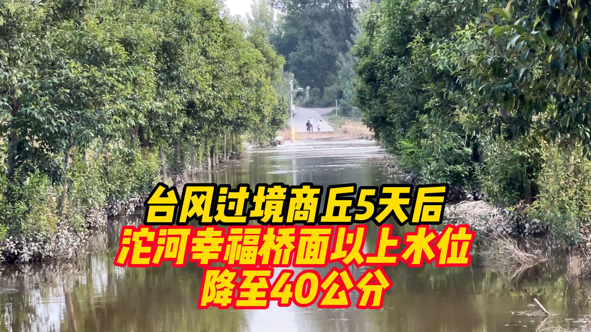 台风过境商丘5天后,沱河幸福桥面以上水位降至40公分哔哩哔哩bilibili