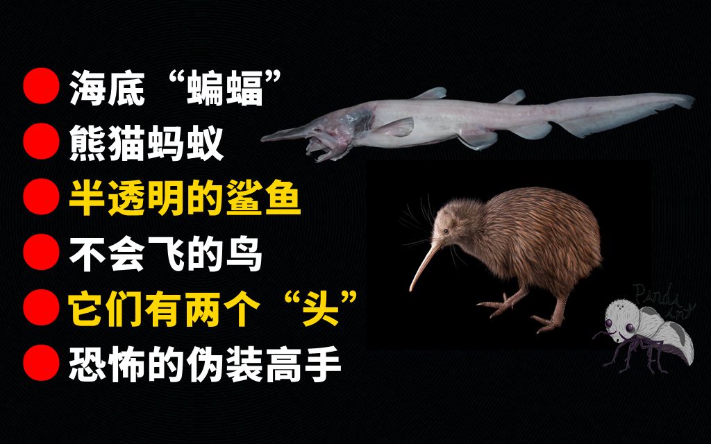 [图]【另类】奇怪的地球生物