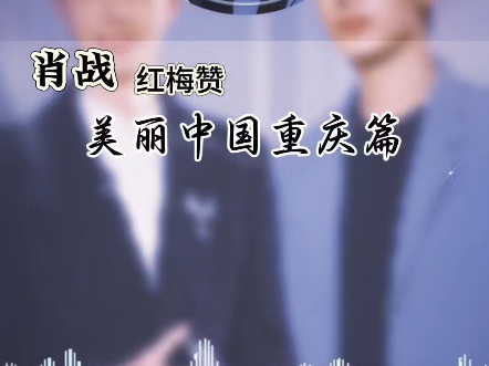 红梅赞 肖战哔哩哔哩bilibili