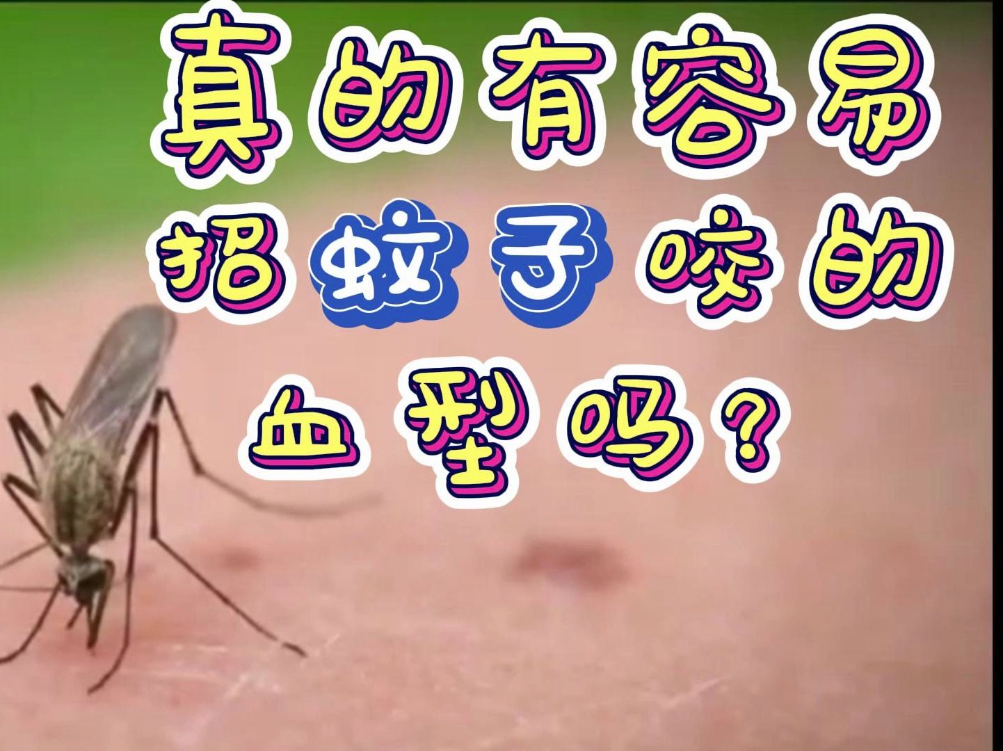 什么血型招蚊子图片