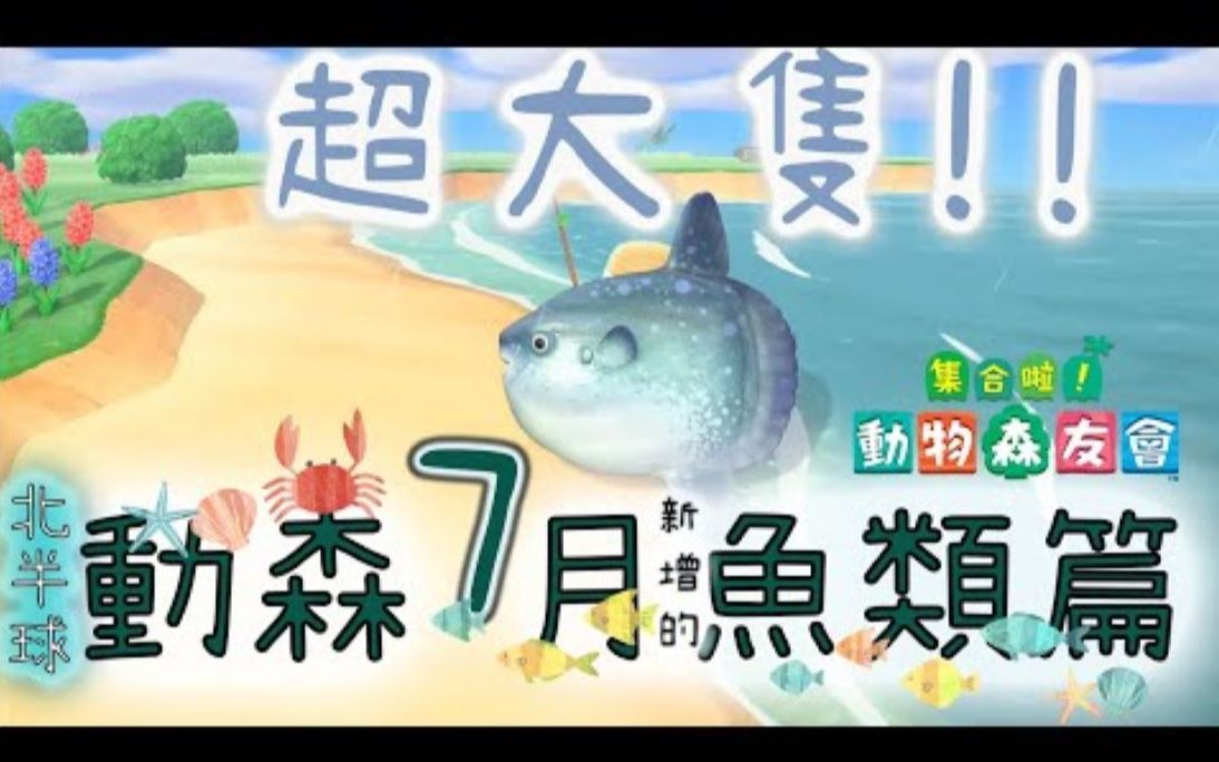 動物森友會 「七月份」北半球將新增的魚類 以及相關的知識小科普