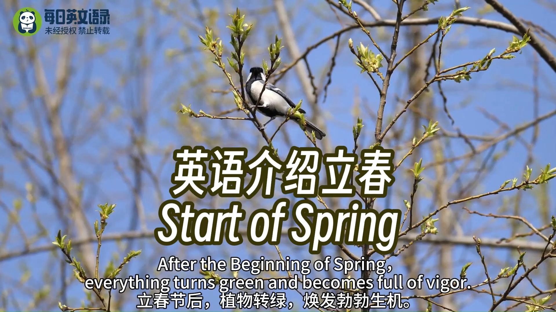 [图]用英语介绍立春—Start of Spring，二十四节气