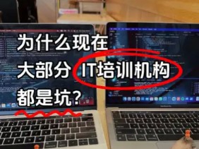 为什么现在大部分培训机构都是坑?千万不要盲目报机构!哔哩哔哩bilibili