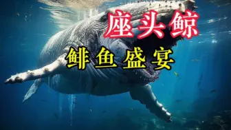 Download Video: 海洋中的巨无霸:一场滔天盛宴来自鲱鱼的无私奉献