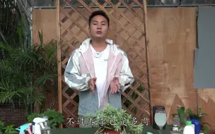 Download Video: 多肉新芽不够多，别慌只要用上这种水，喷一喷能够让它，狂长侧芽