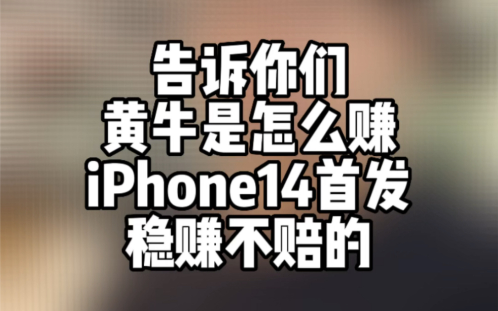 黄牛是怎么赚iPhone14首发的差价的,并且能做到稳赚不赔的哔哩哔哩bilibili