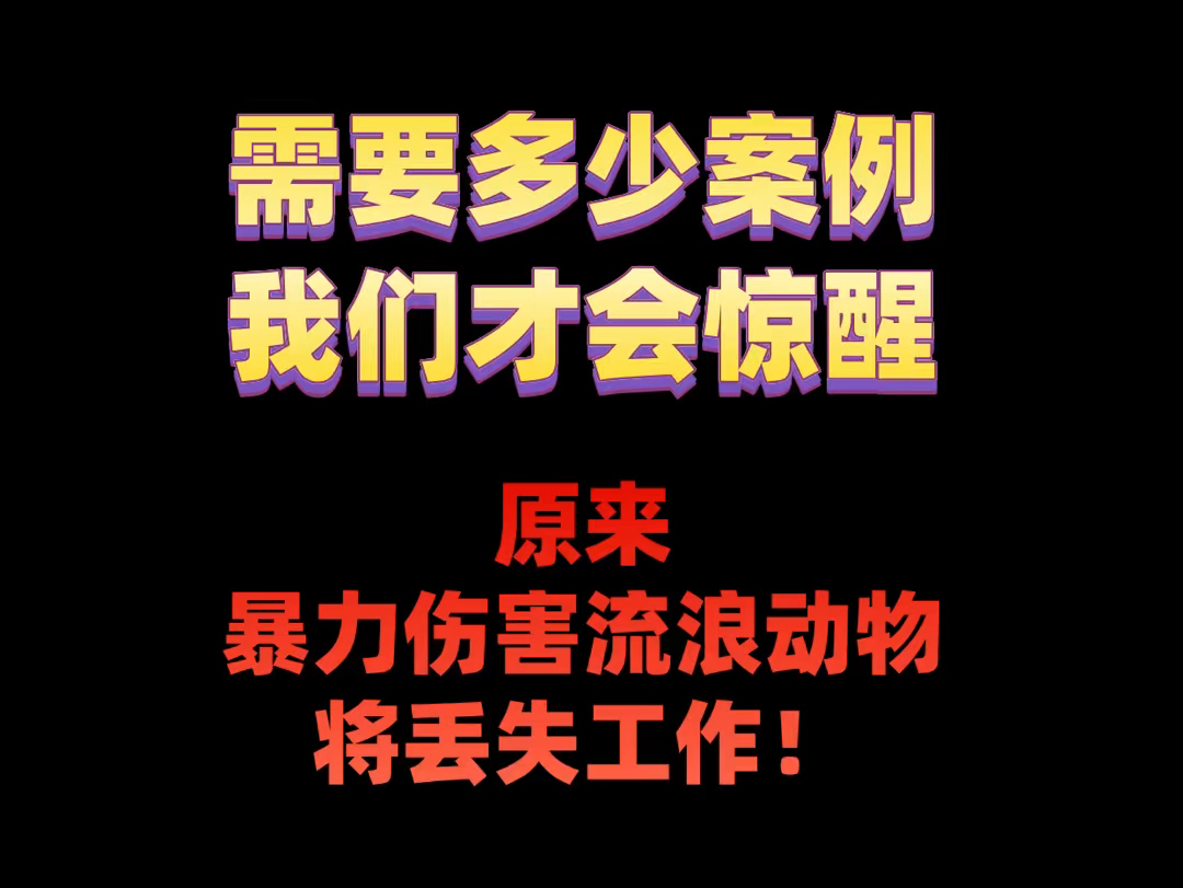 需要多少案例,我们才会惊醒:原来暴力伤害流浪动物将丢失工作!深圳特发发布通报:给谭某予以开除处分 #反虐待动物哔哩哔哩bilibili