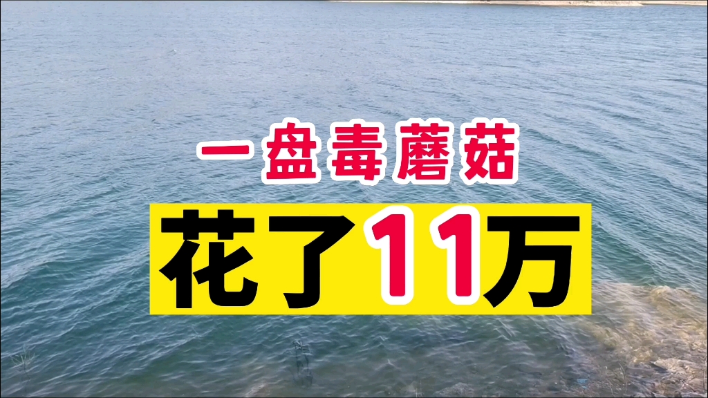 [图]7月27日山东栖霞市：吃了一盘毒蘑菇，花了11万