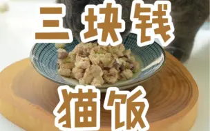 Descargar video: 只需要3块钱就可以做猫饭了？！