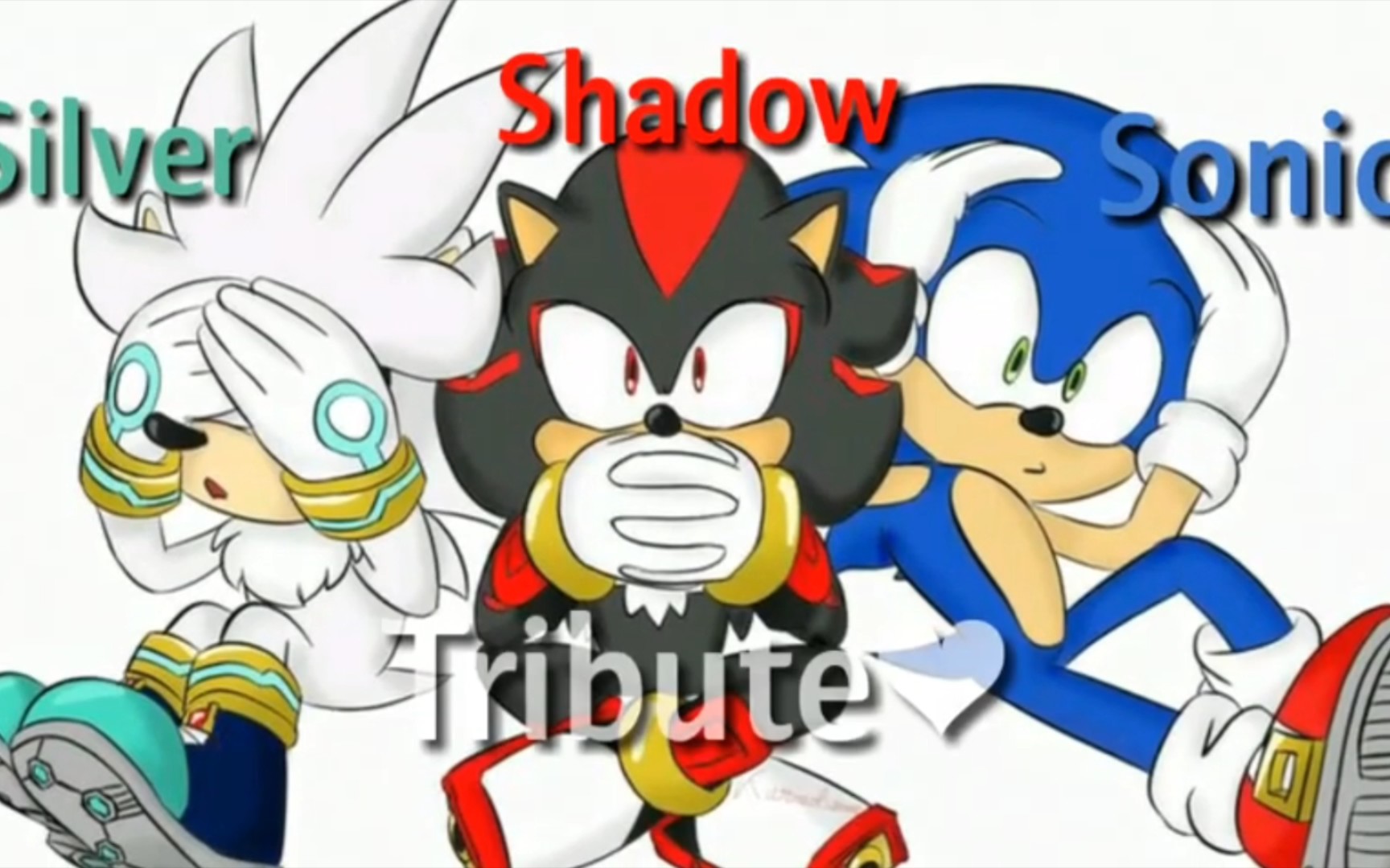 sonicshadow图片