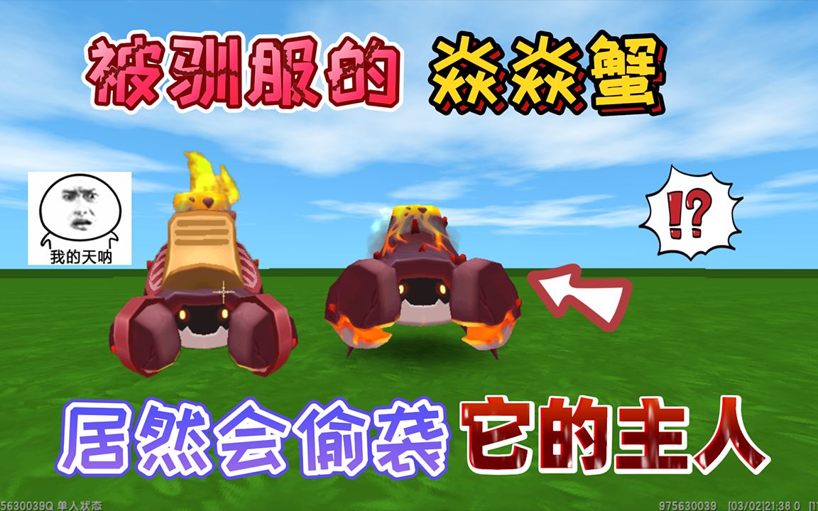 迷你世界:被驯服的"焱焱蟹"并不忠臣,它居然会偷袭它的主人