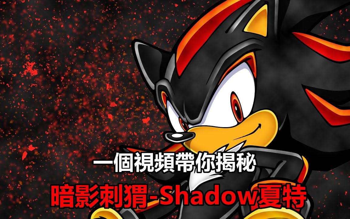 [图]【音速百科】Shadow夏特曾經有為了一位女孩流淚！？原來他的年齡是XX！？ 帶你了解這位酷男-夏特