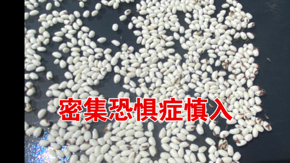 为什么会有密集恐惧症