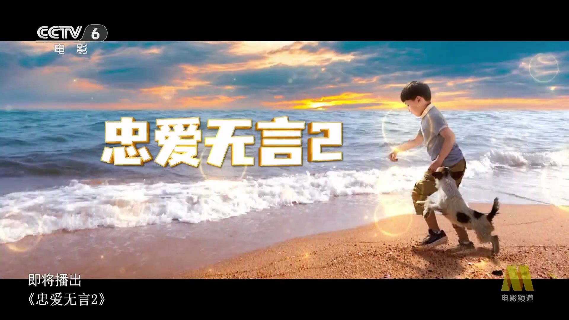 忠爱无言2 (2023)2024-06-04_09-43-34-01.24.19.489-seg1