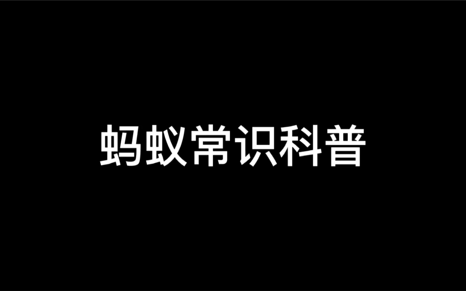 严肃的新手蚂蚁饲养教程哔哩哔哩bilibili