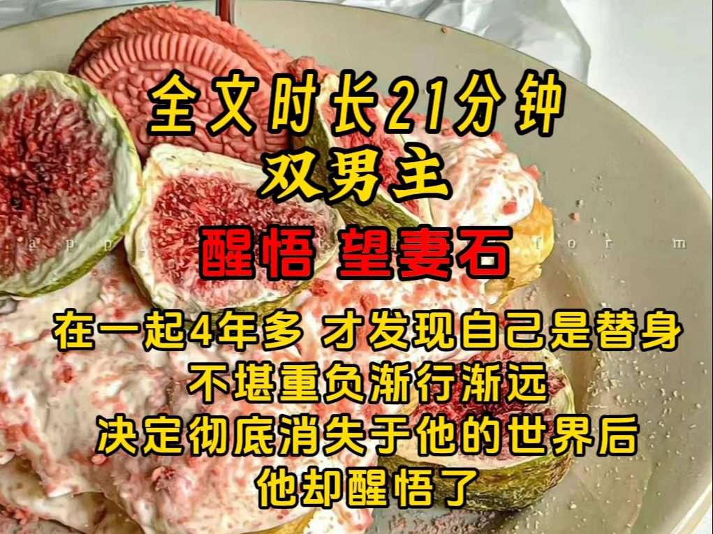 [图]《半言醒悟》在一起4年多 才发现自己是替身 不堪重负渐行渐远 决定彻底消失于他的世界后 他却醒悟了