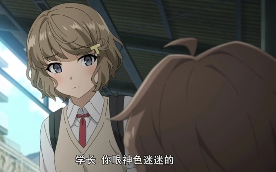 青春猪头少年不会梦到兔女郎学姐古贺朋绘