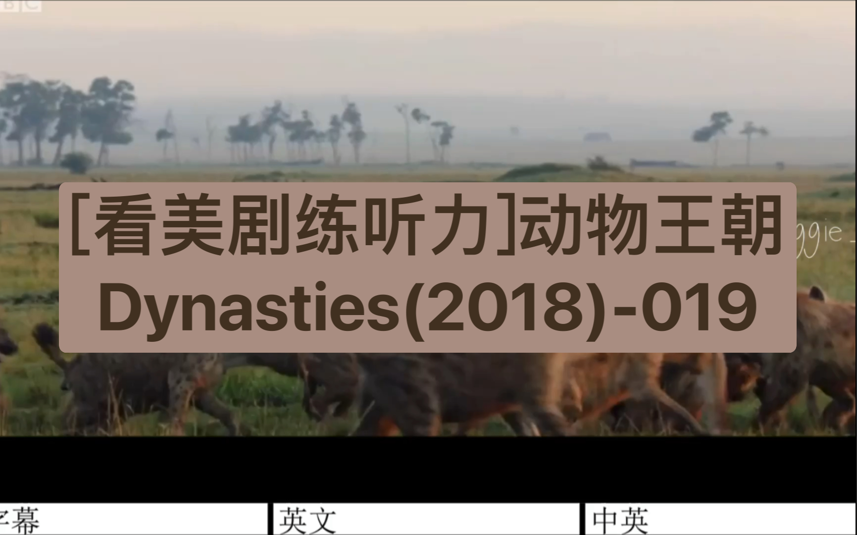 [图][看美剧练听力]动物王朝Dynasties(2018)-019