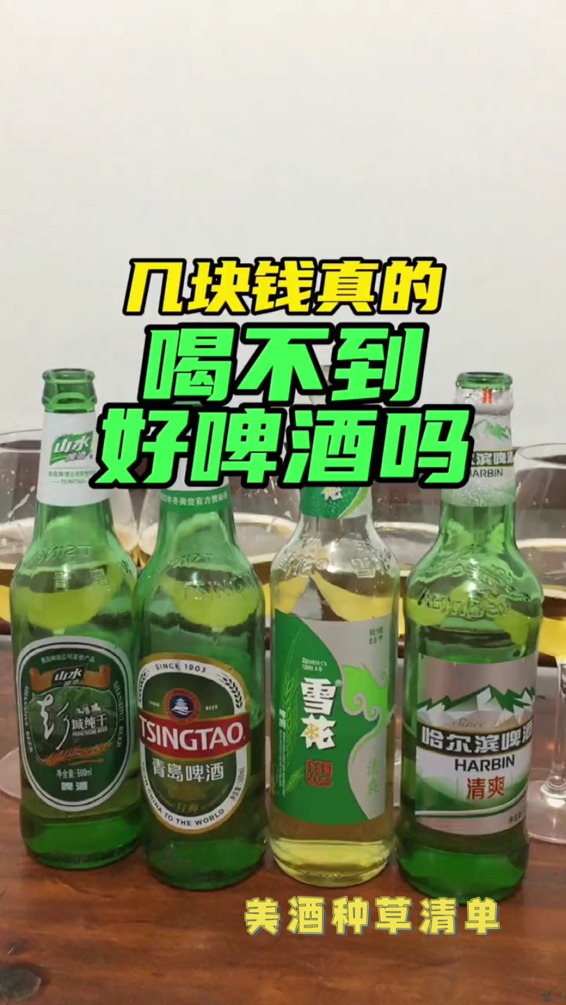 美酒种草清单:热门啤酒大测评一定要看到后面教你选择啤酒哔哩哔哩bilibili