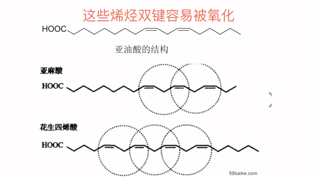 食品抗氧化剂是如何发挥作用的?哔哩哔哩bilibili