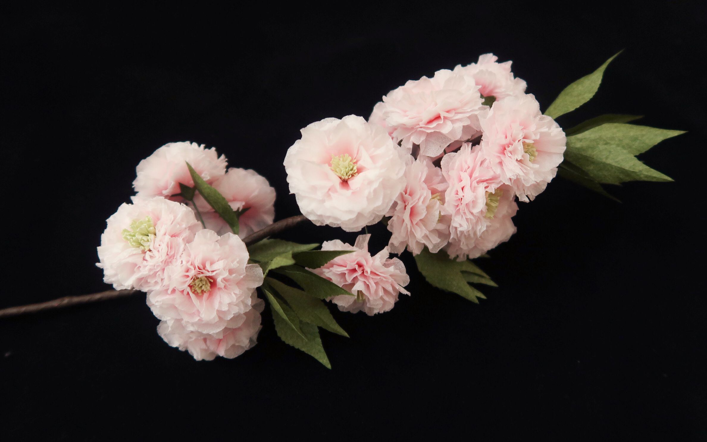 【五分钟教学】皱纹纸花艺-樱花 一张纸巾的艺术 猛男落泪樱花粉