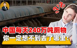 下载视频: 中国人每天产出240万吨排泄物，它们都去哪了，竟回到我们身边