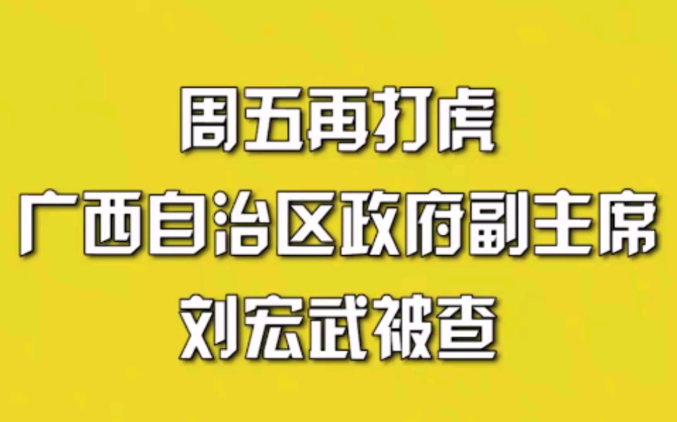 周五再打虎,广西自治区政府副主席刘宏武被查哔哩哔哩bilibili