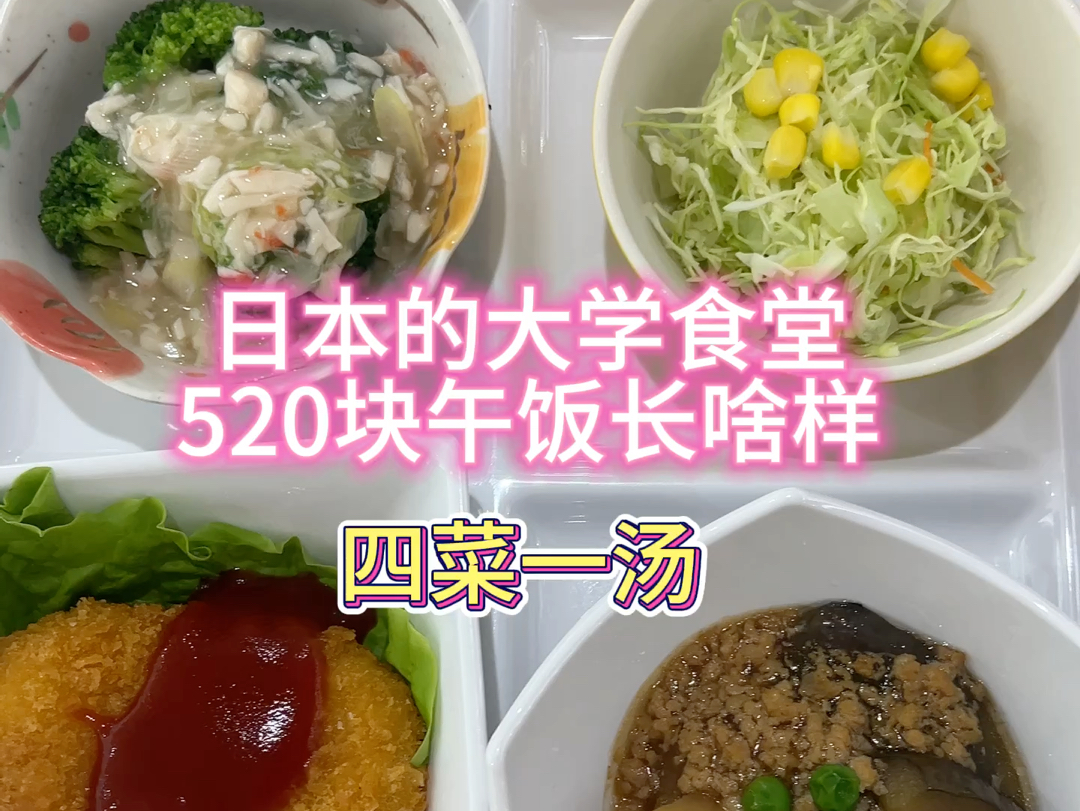 日本的大学食堂520块午饭长啥样|约26,忙忙忙~哔哩哔哩bilibili