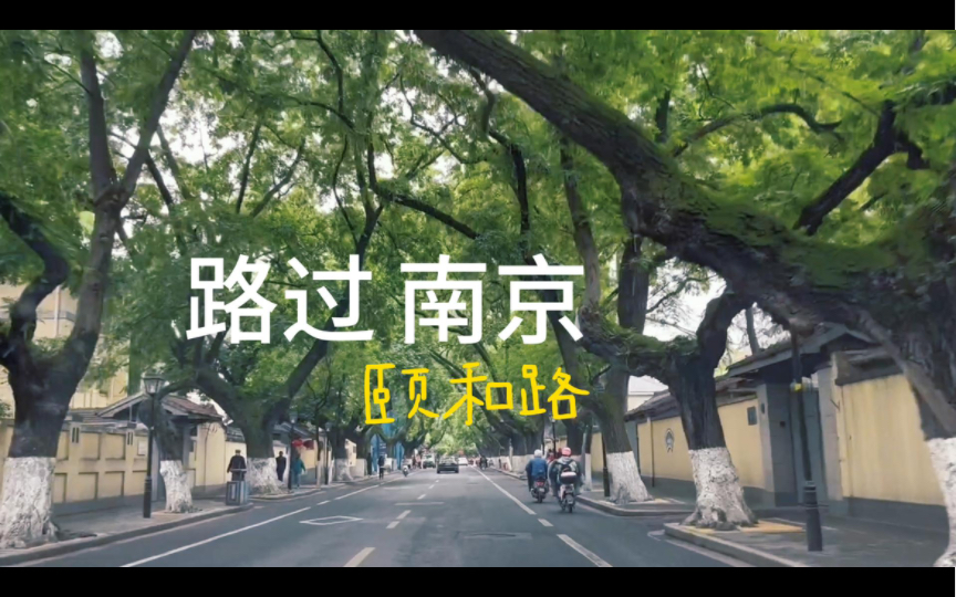 南京颐和路,路过十年都不曾用心领略的风景.哔哩哔哩bilibili