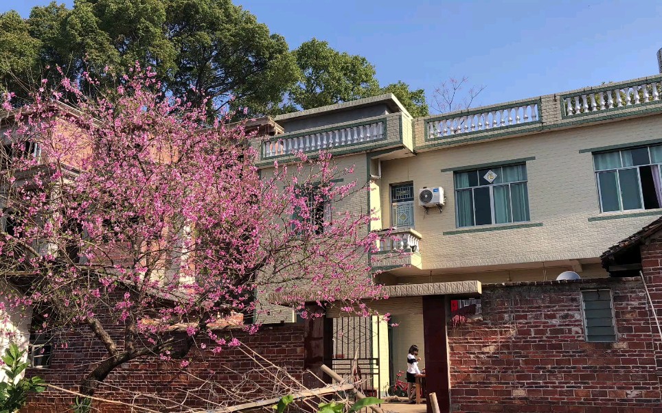 凤溪村大战重制版