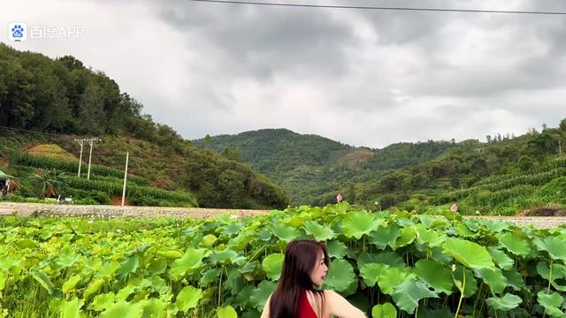 《如果我的爱不能让你着迷》99@贵州小蓉儿 《才艺主播》99