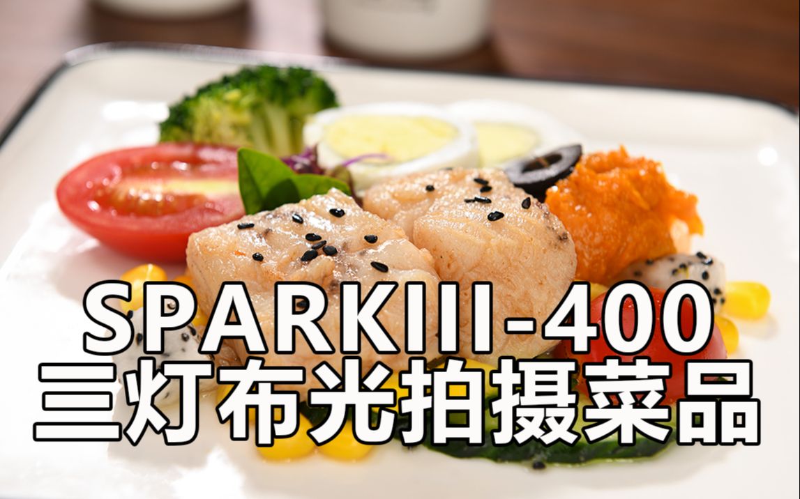 摄影教程金贝sparkiii400三灯布光拍摄菜品沙拉
