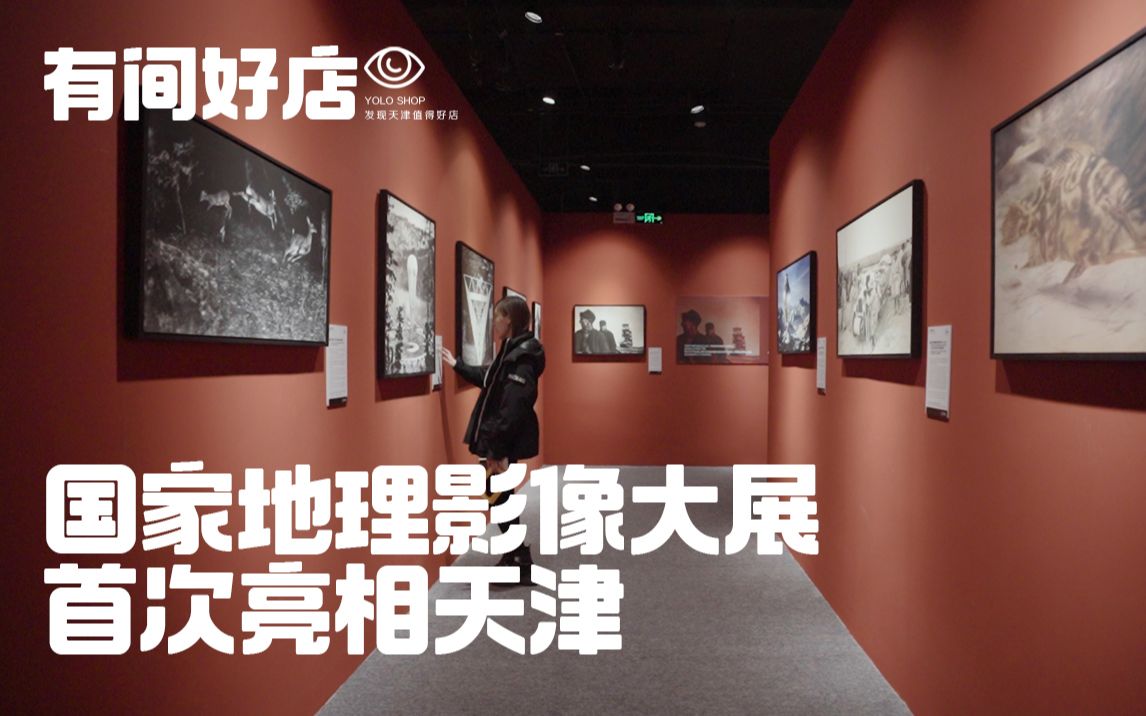 火遍全网的“国家地理经典影像大展”,终于来天津啦!哔哩哔哩bilibili