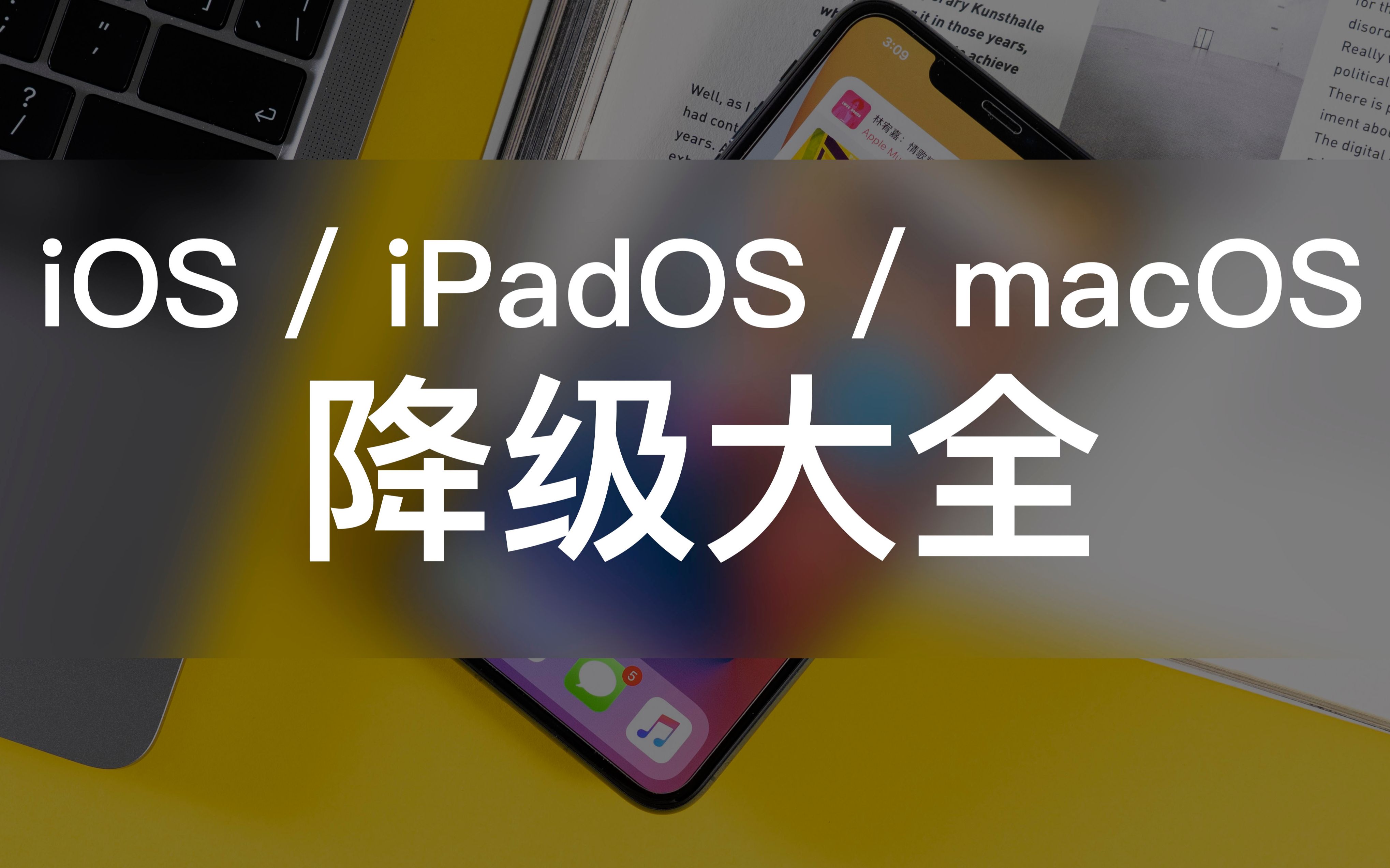 降级还能保留数据?iOS/iPadOS/macOS降级完全指南2020年中版哔哩哔哩bilibili