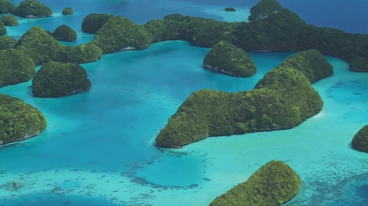 Palau——最后一个天堂:一生必去的50个地方之一哔哩哔哩bilibili