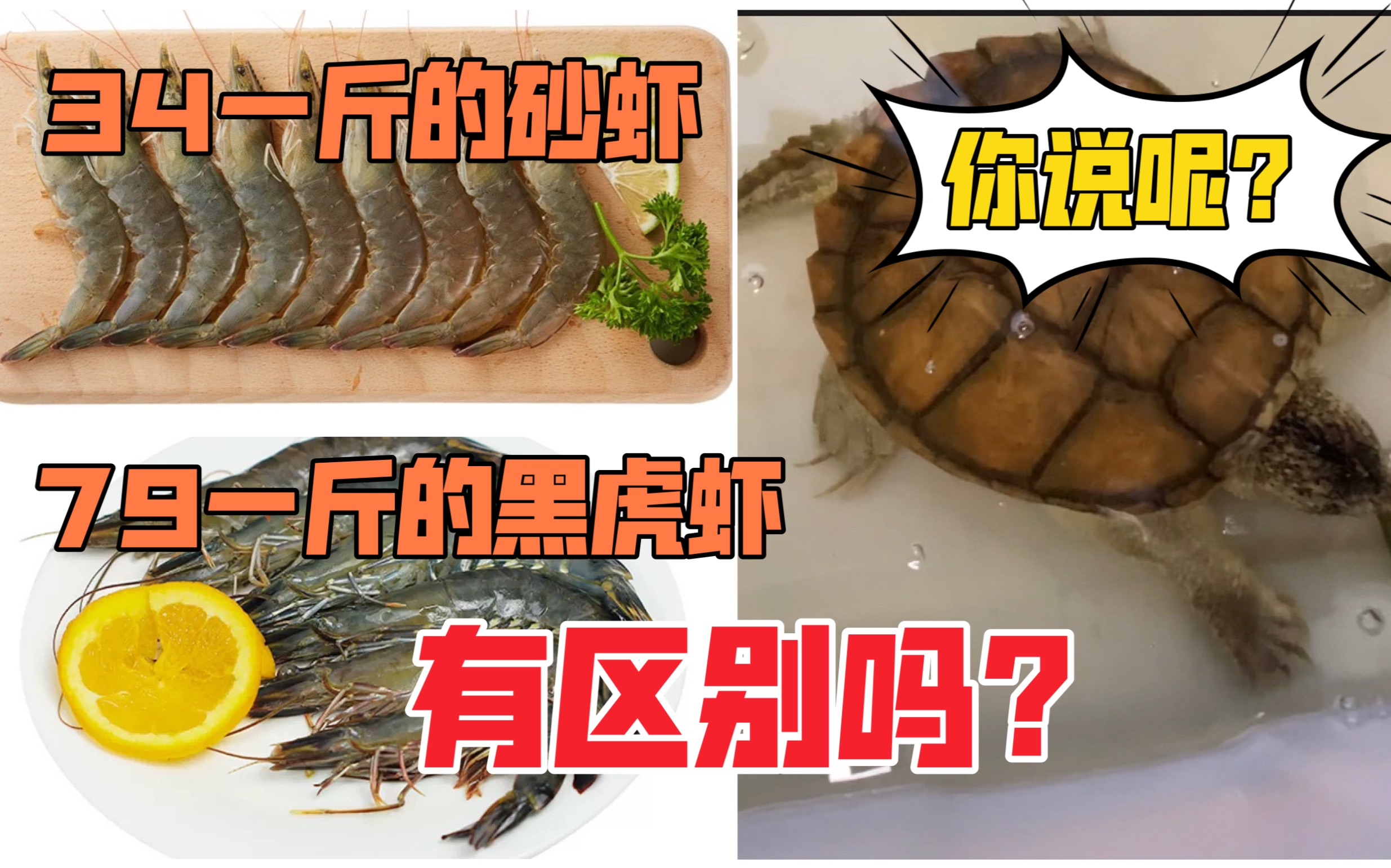 79一斤的黑虎虾和34一斤的砂虾有区别吗?哔哩哔哩bilibili