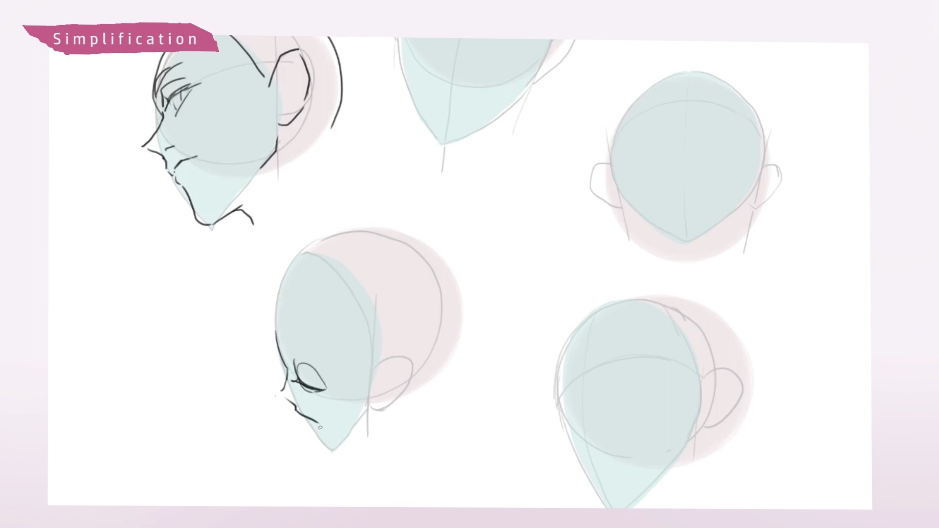 【转载】头部角度的画法