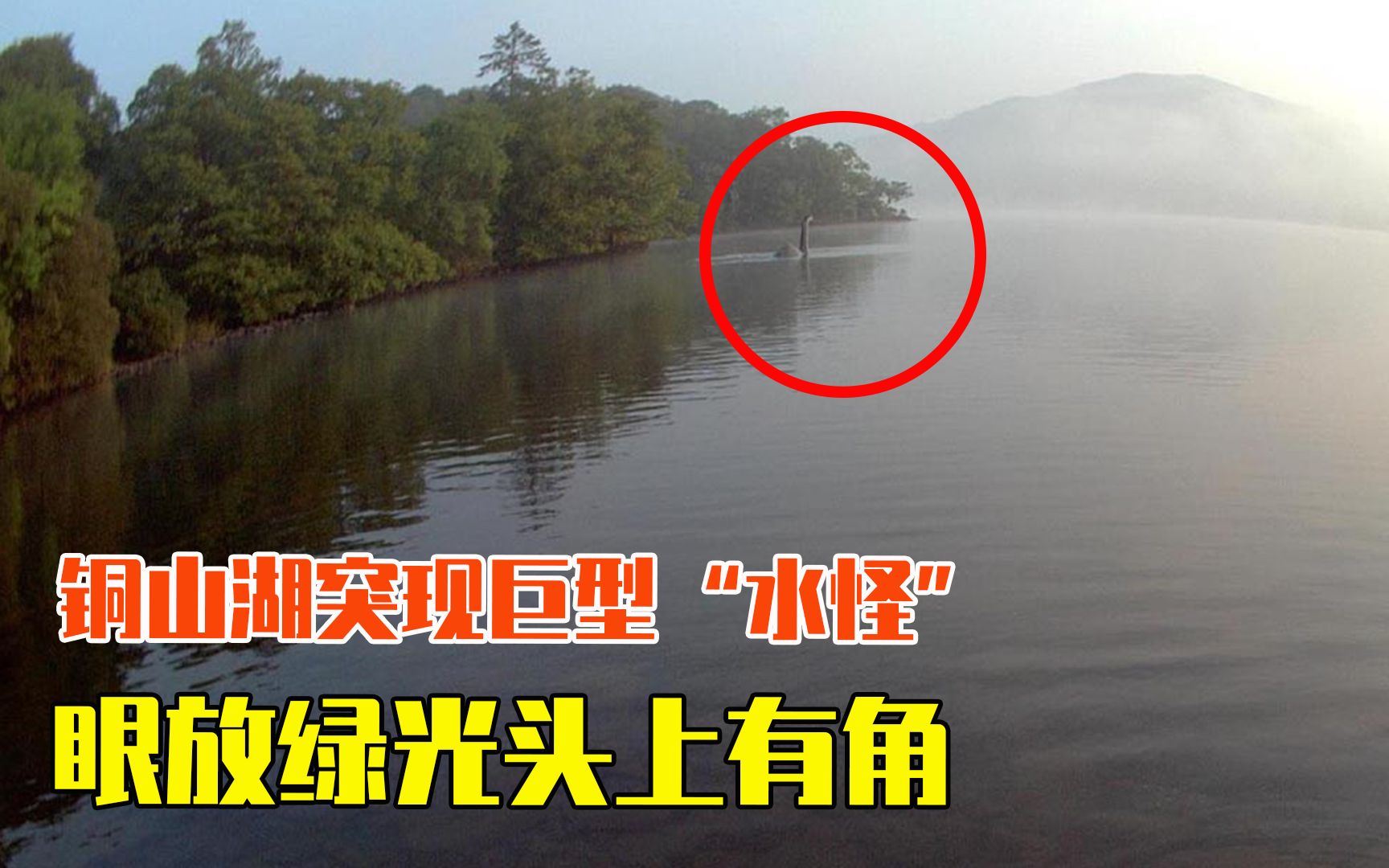 铜山湖水面突现巨型"水怪",眼放绿光头上有角,身上布满了鳞片