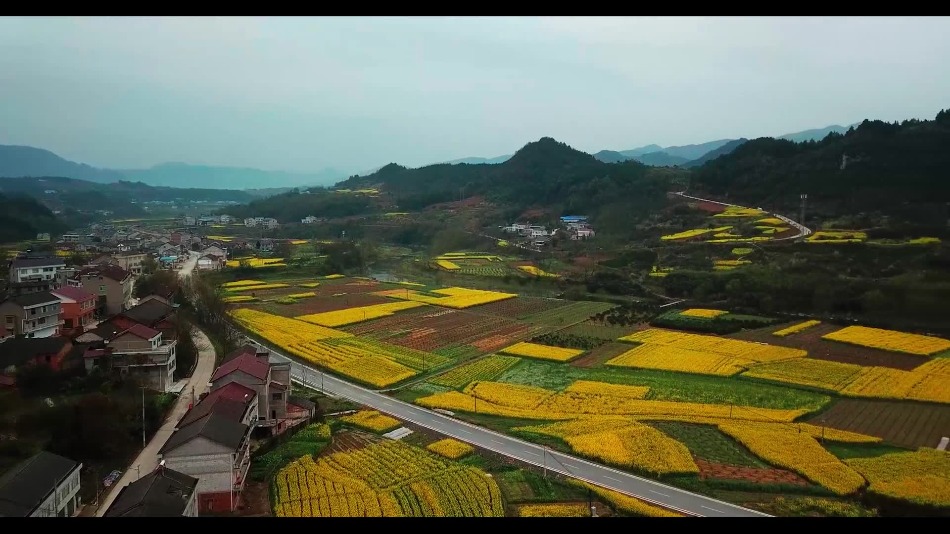 航拍湖南石门县三圣乡杜家岗村省道旁最美油菜花_哔哩哔哩_bilibili