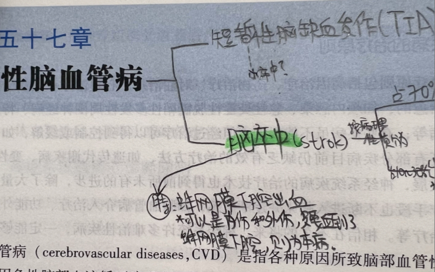 [图]【内科学笔记·神经系统1】28分钟讲明白急性脑血管病是什么（免责声明：注意本视频仅为本人考试复习用，言论皆未经求证，不构成任何建议，一切必须以专业医师言论为准）