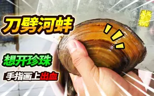 Descargar video: 看到河蚌就有种开珍珠的冲动，足足脱出来一盆50只，可惜全部臭掉