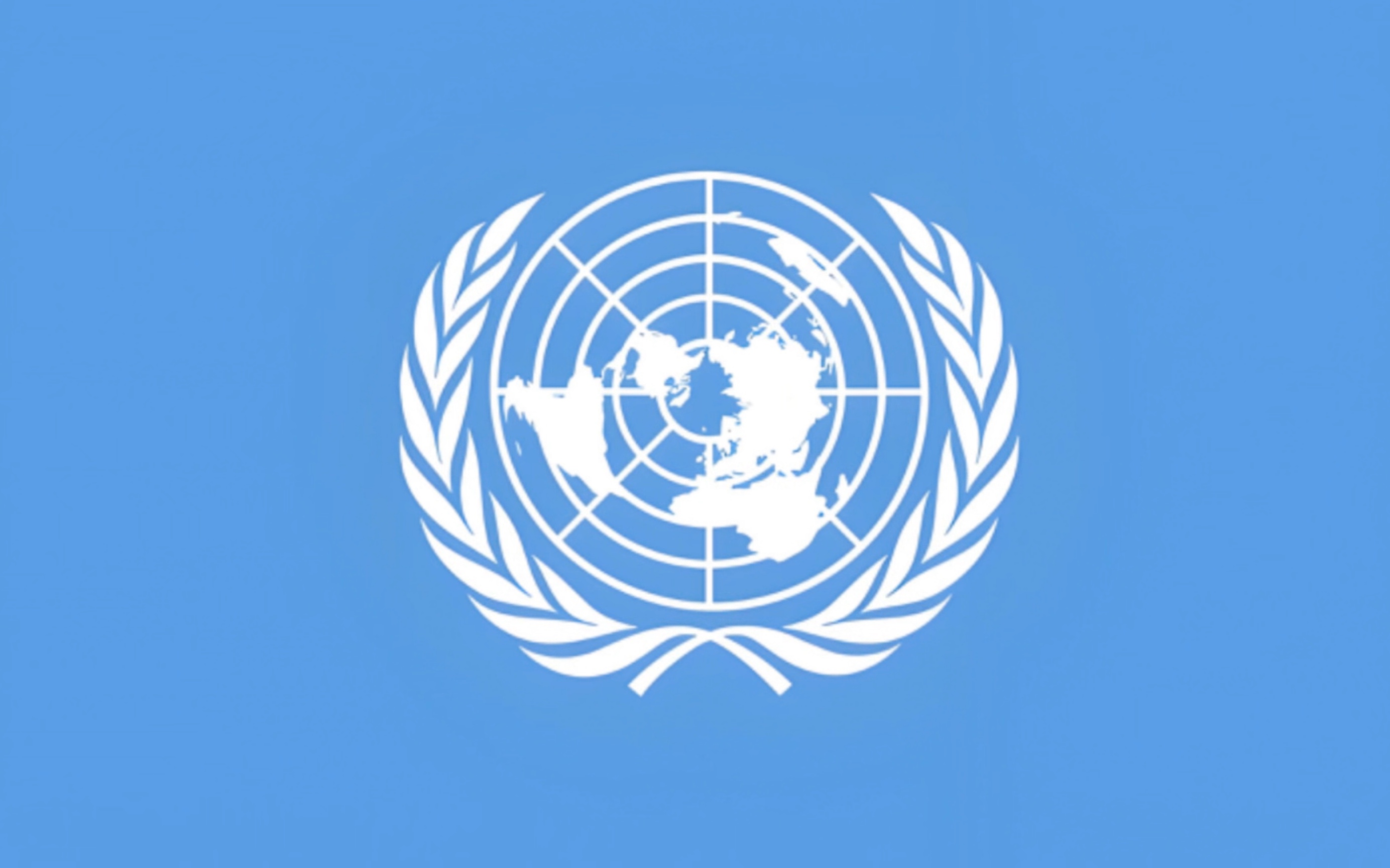 联合国 部分国家