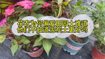 Скачать видео: 花农为何更偏爱田园土？难道他们不知道泥炭土更好吗？