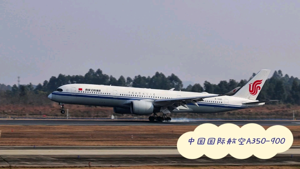 国航墨镜侠降落